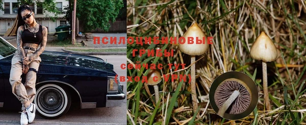 синтетический гашиш Алексин