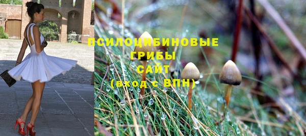 марки nbome Алексеевка