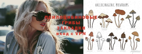мяу мяу мука Алзамай